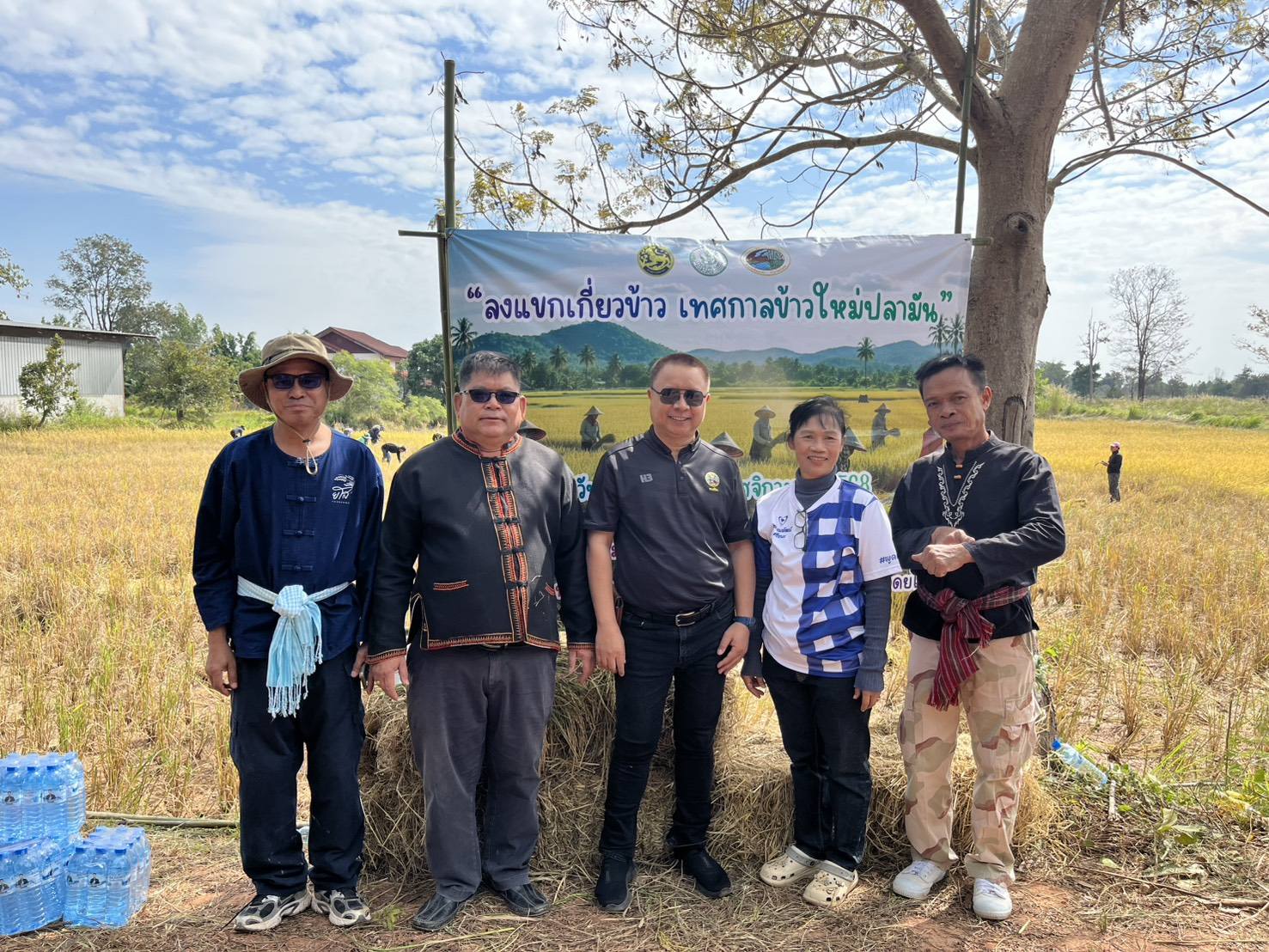 พช เลิงนกทาร่วมกิจกรรม ลงแขกเกี่ยวข้าว "เทศกาลข้าวใหม่ ปลามัน"  